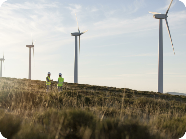 servicio de ingeniería energética